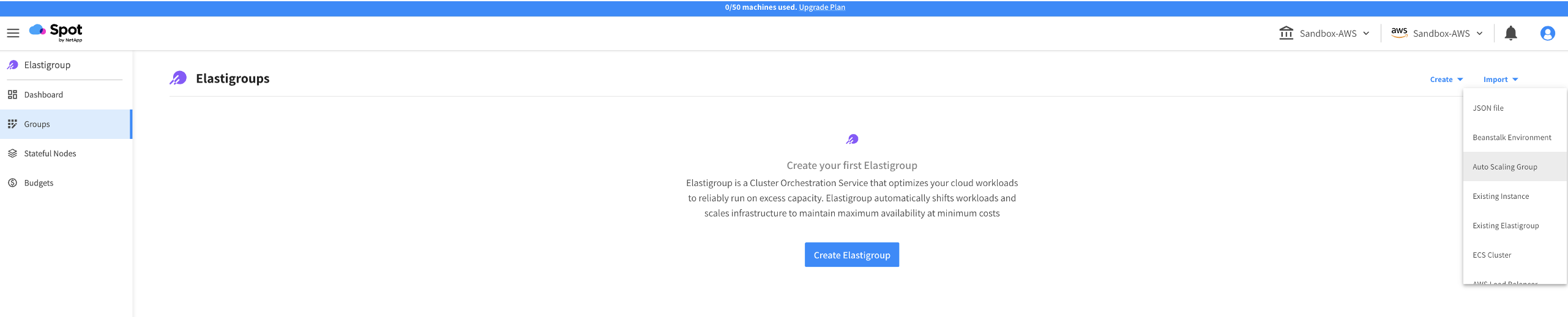 Spot Elastigroup Import Auto Scaling Group