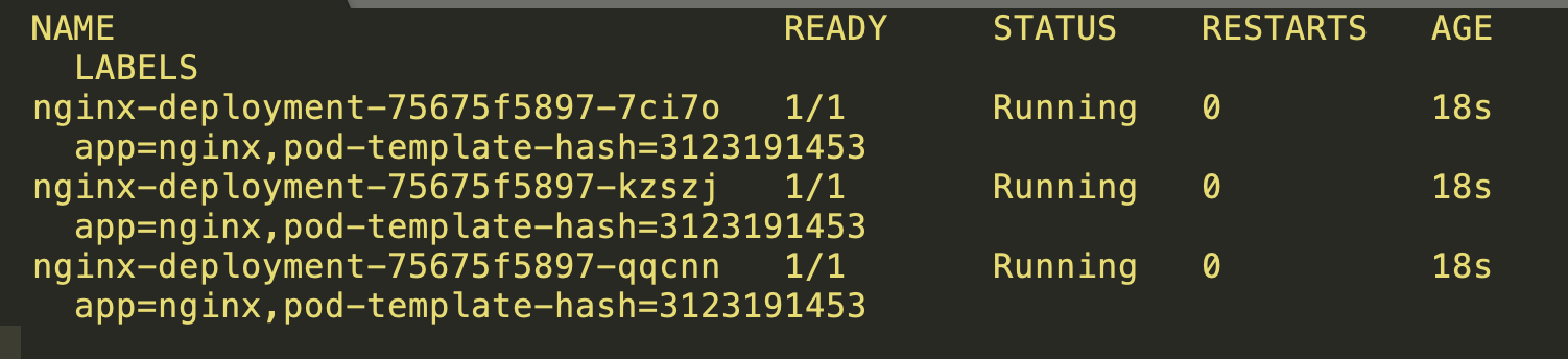 output of pods in ReplicaSet